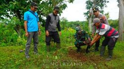 Penanaman Pohon  Tanggulangi Bencana Hidrometeorologi di Desa Nglayang Berjalan Lancar