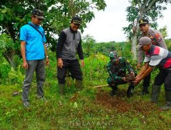 Penanaman Pohon  Tanggulangi Bencana Hidrometeorologi di Desa Nglayang Berjalan Lancar